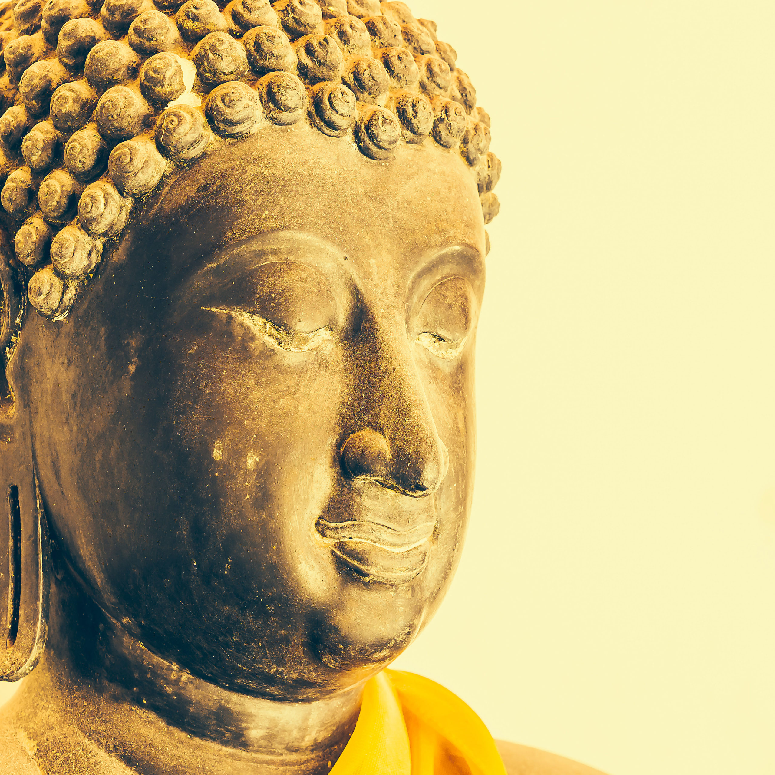 Living Dharma - The Wise Heart: Further Teachings on Buddhist ...