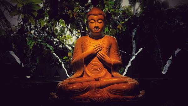 Gentle Buddha