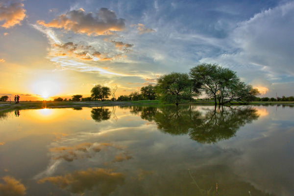 Trees sky and water